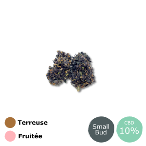 Purple DESTOCKAGE