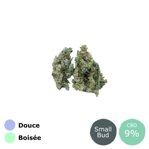 fleur cbd small bud cannatonic