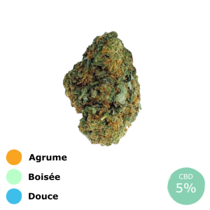 Mandarine kush